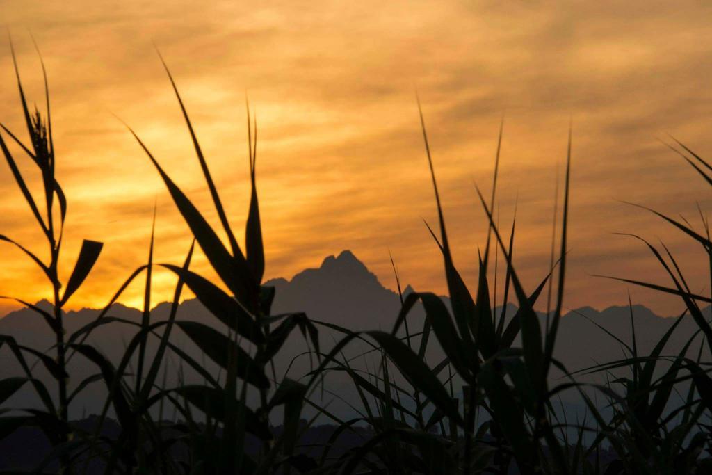 Appartamento Al Bricco Piobesi d'Alba Esterno foto